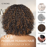 Golden Premium Curly Bang Wig – Water Wave | Minimalist Lace | Beginner Friendly