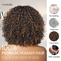 Golden Premium Curly Bang Wig – Water Wave | Minimalist Lace | Beginner Friendly